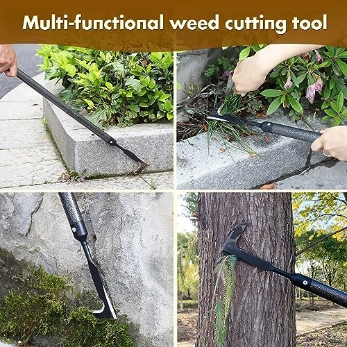 Crack Weeder, Crevice Weeding Sickle Hoe Tool with Beech Handle, Stainless 12"