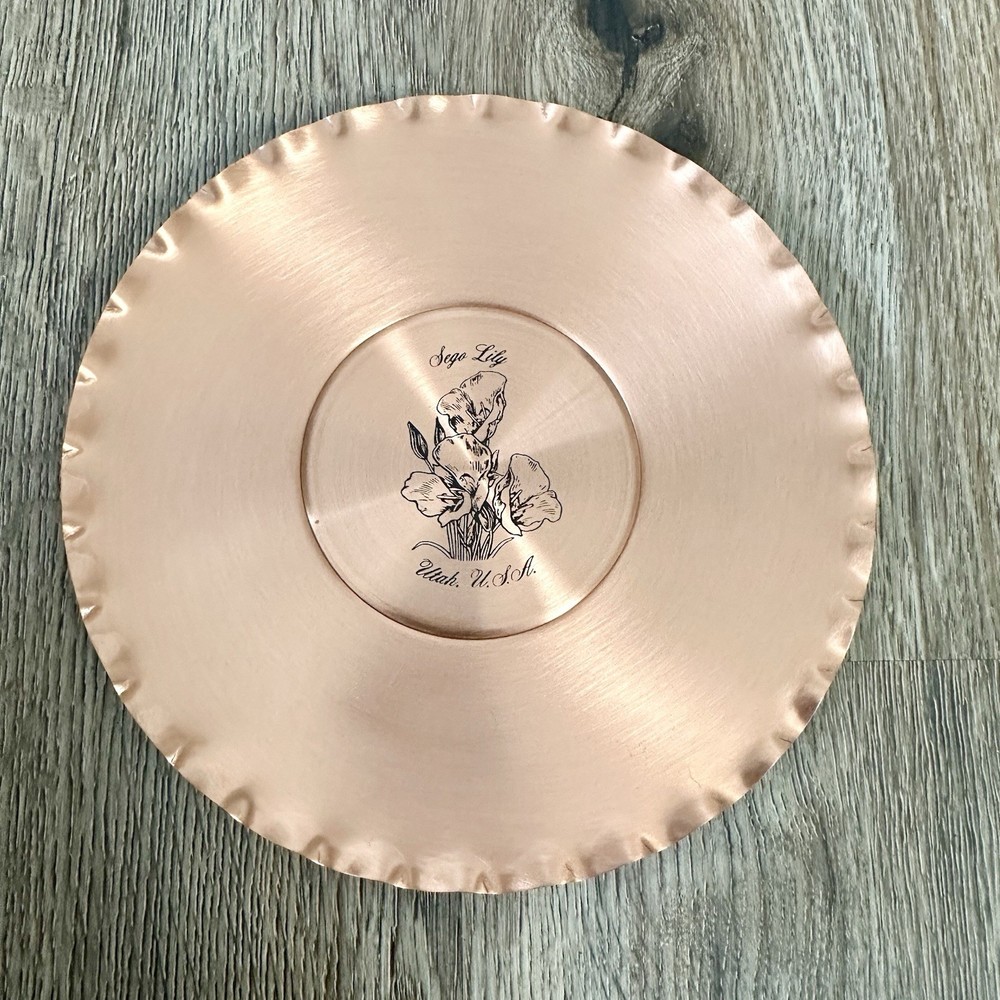 Solid Copper Sego Lilly Utah Wall Mount Plate Decoration 7” Dia Square Dance