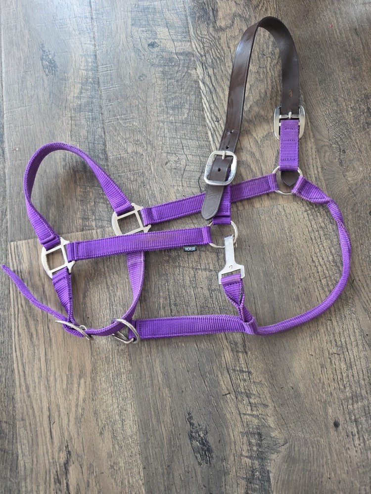 Horse Halter