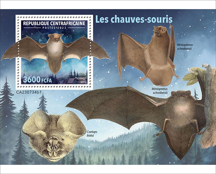 Bats