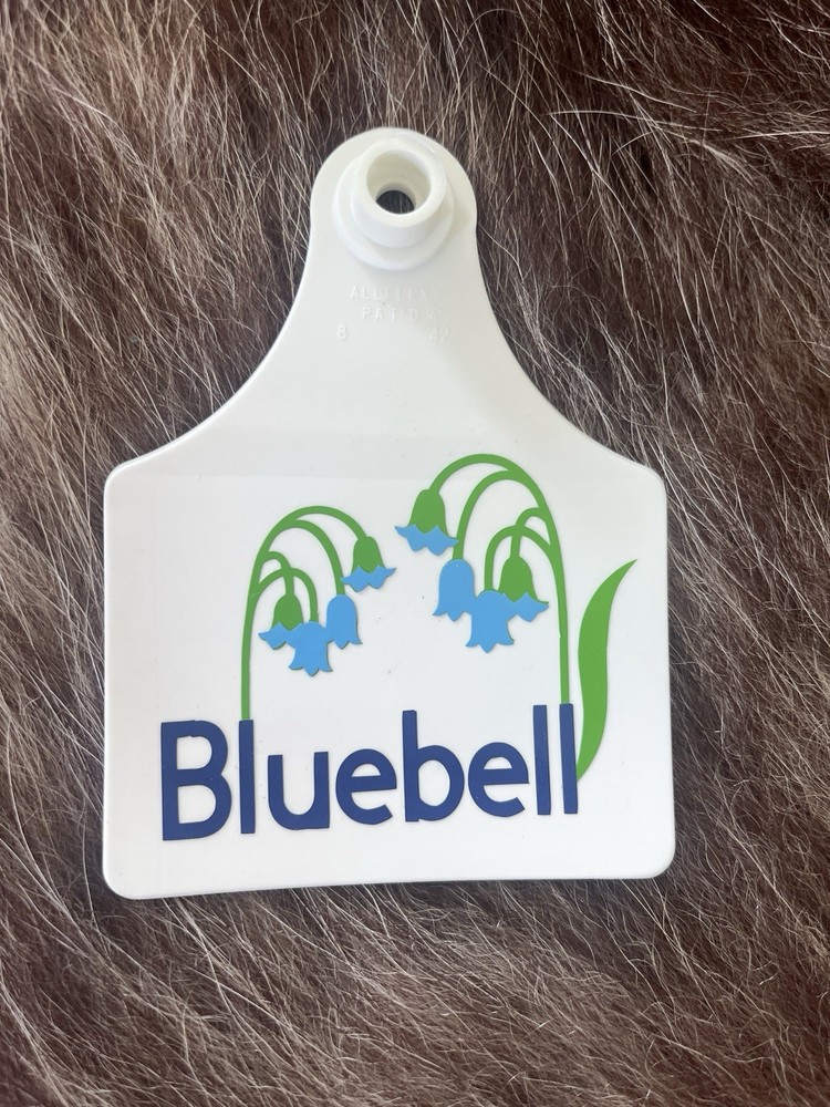 “Bluebell” Allflex Maxi Livestock Tag, Custom Design