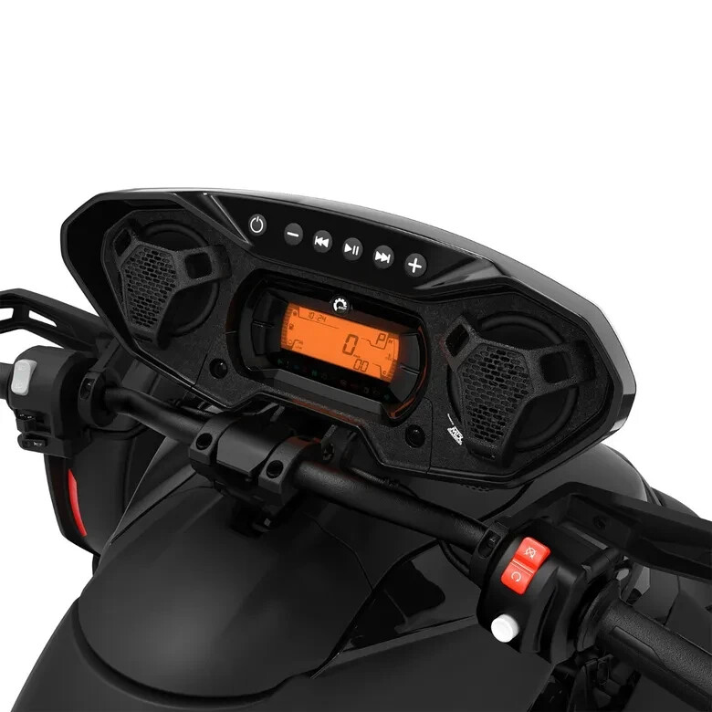 Ryker Audio System