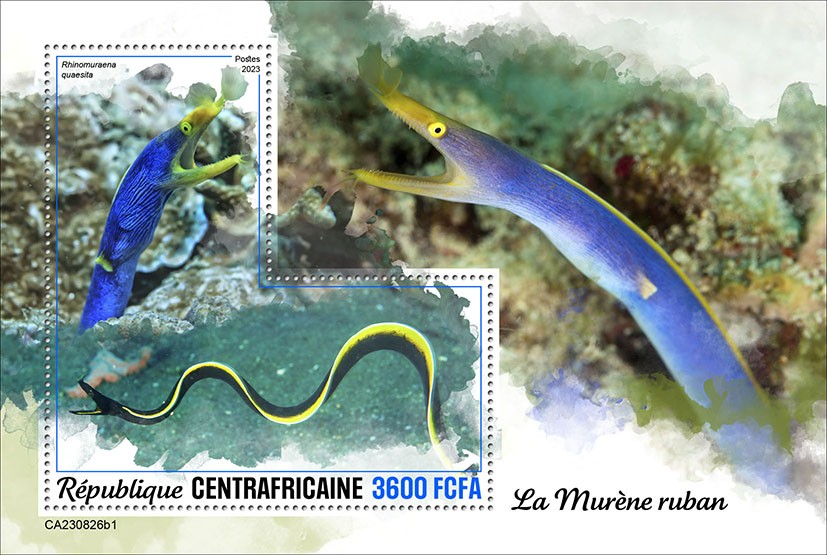 Ribbon eel