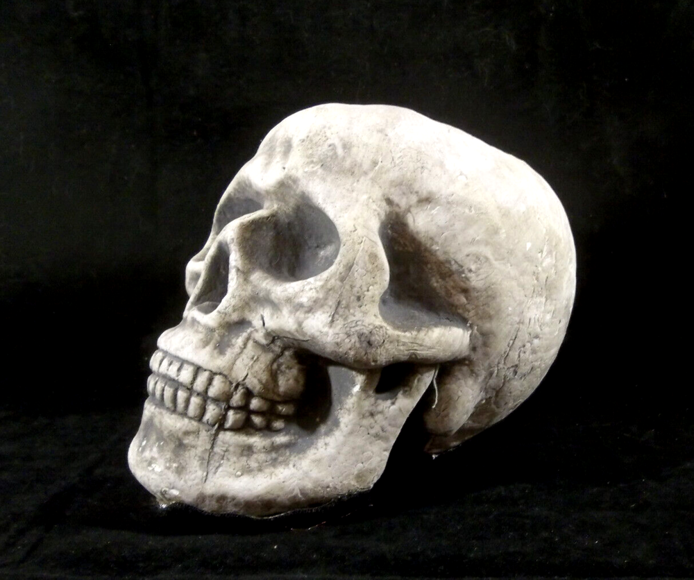 Halloween Styrofoam Skull with 3 Hook and Loop Fastener Strips