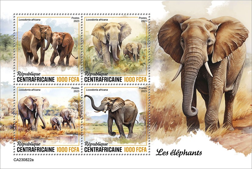 Elephants