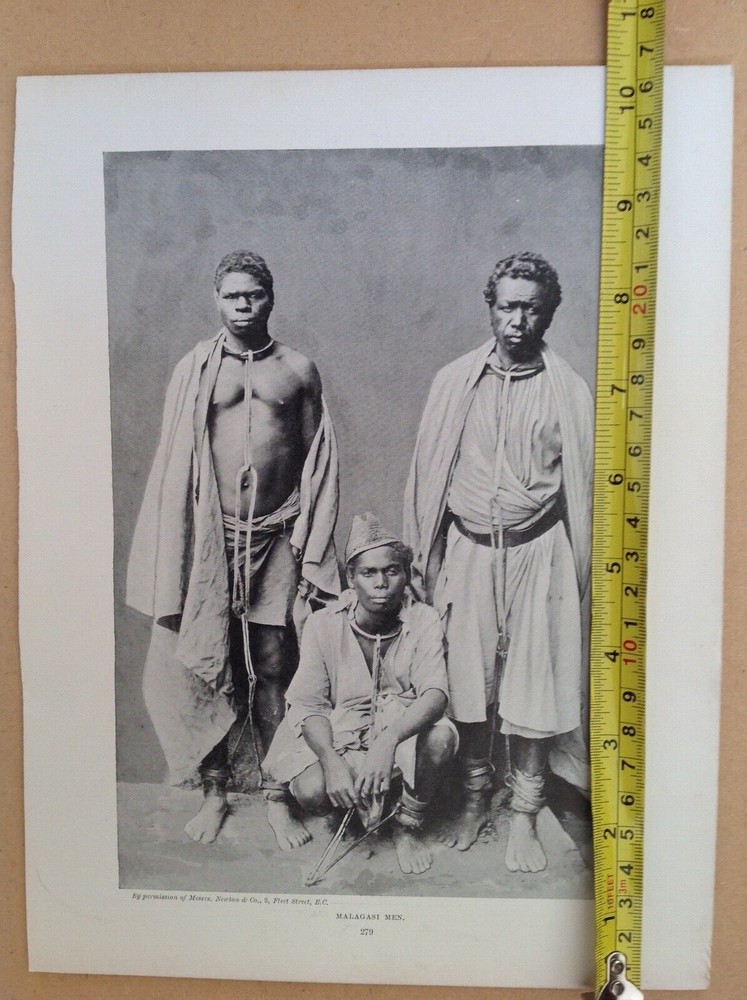 1902 ,Antique print, Malagasi men