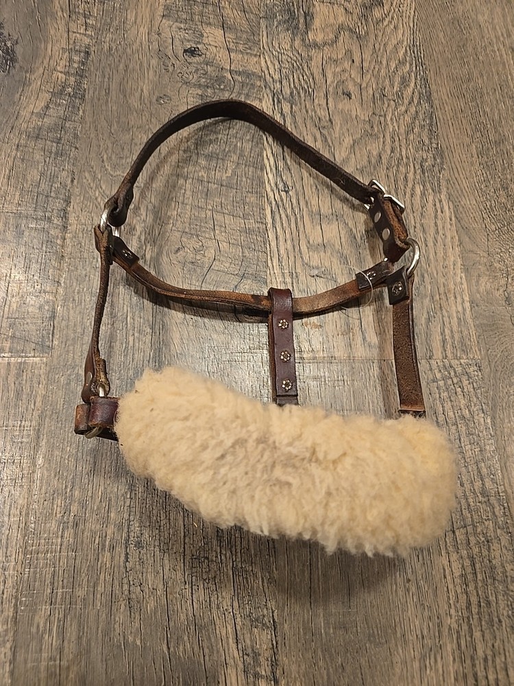 Horse Halter Weanling Size