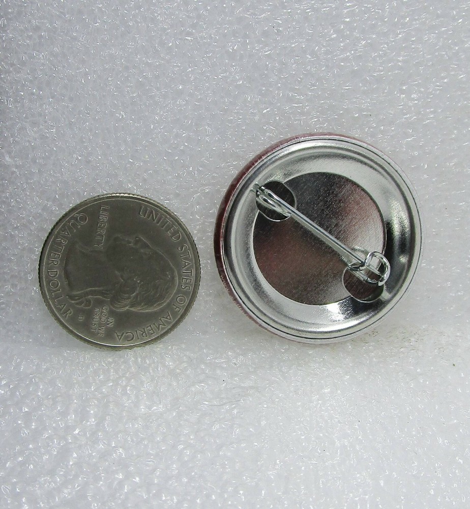 Vote For The Future! Button Pin