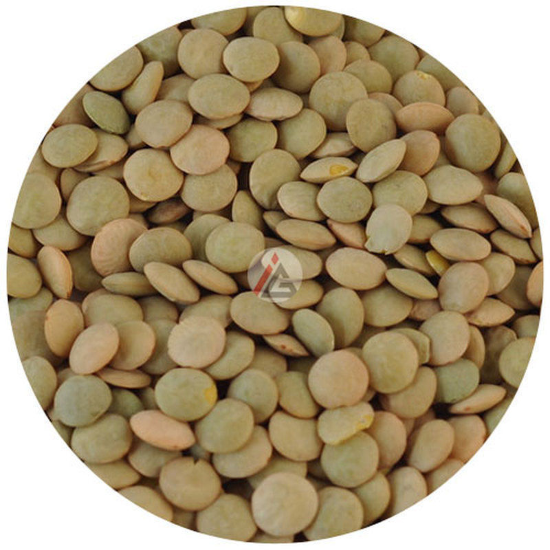 Whole Green Lentils - 1Kg