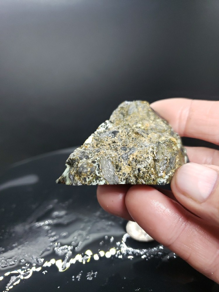 Nevada Gecko Variscite Rough