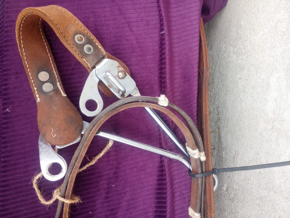 used leather horse halter
