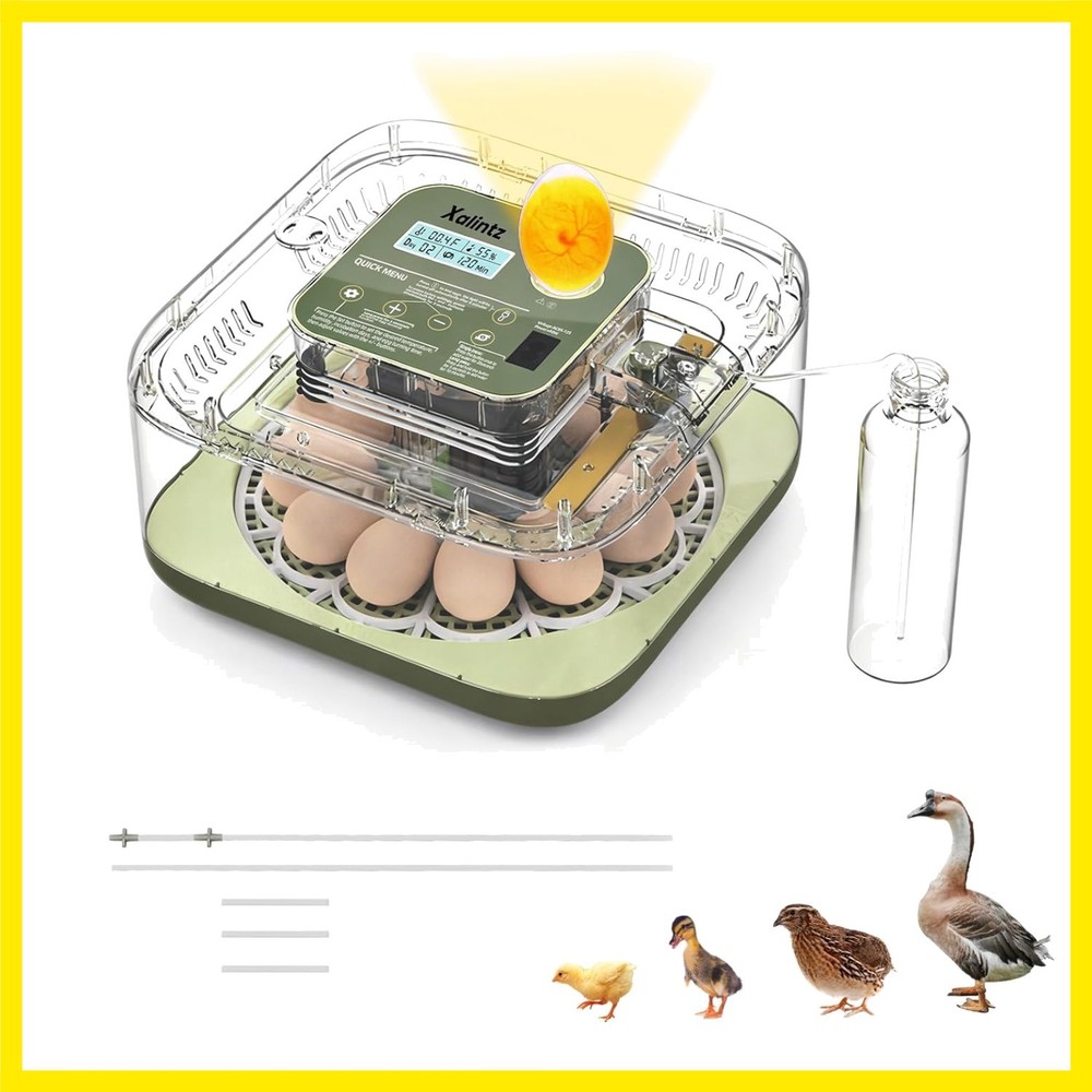 Automatic 12 Egg Incubator - Digital Temperature/Humidity Display, Hatch Day ...