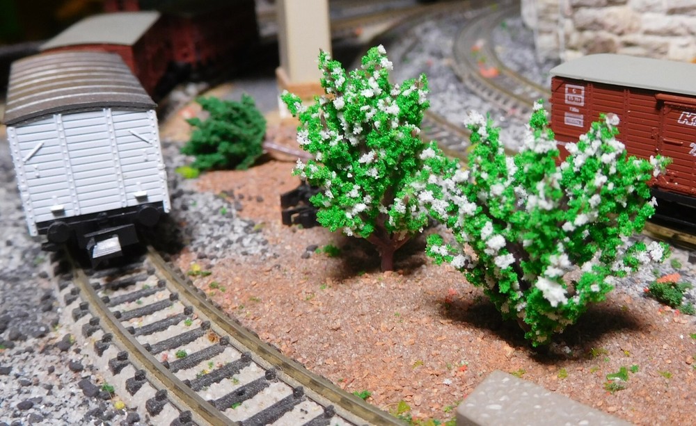 50 White Flowering Bushes, 40 Mm High