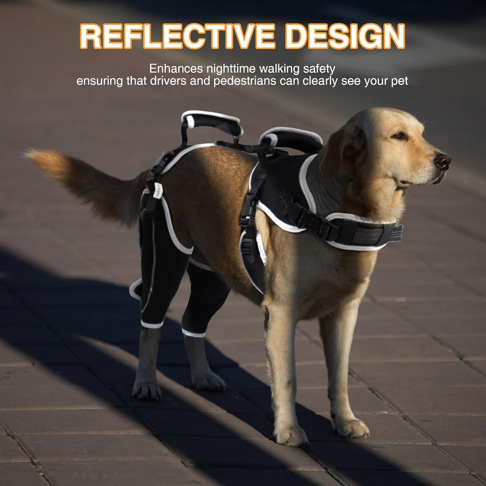 XL Dog Knee Brace for ACL & Patella Support - Adjustable, Breathable Relief