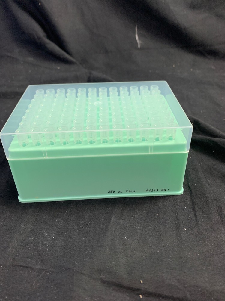 Laboratory Plastic 250uL Clear Pipette Tips 96 Rack Non-Sterile 960/Pack