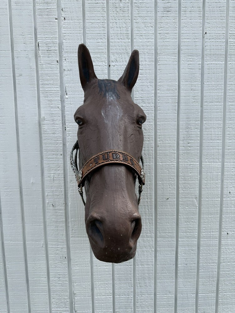 Personalized Nylon Horse Halter