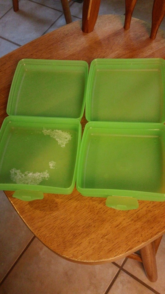 Set of 2 Tupperware Sandwich Keeper Container- green --Square -used