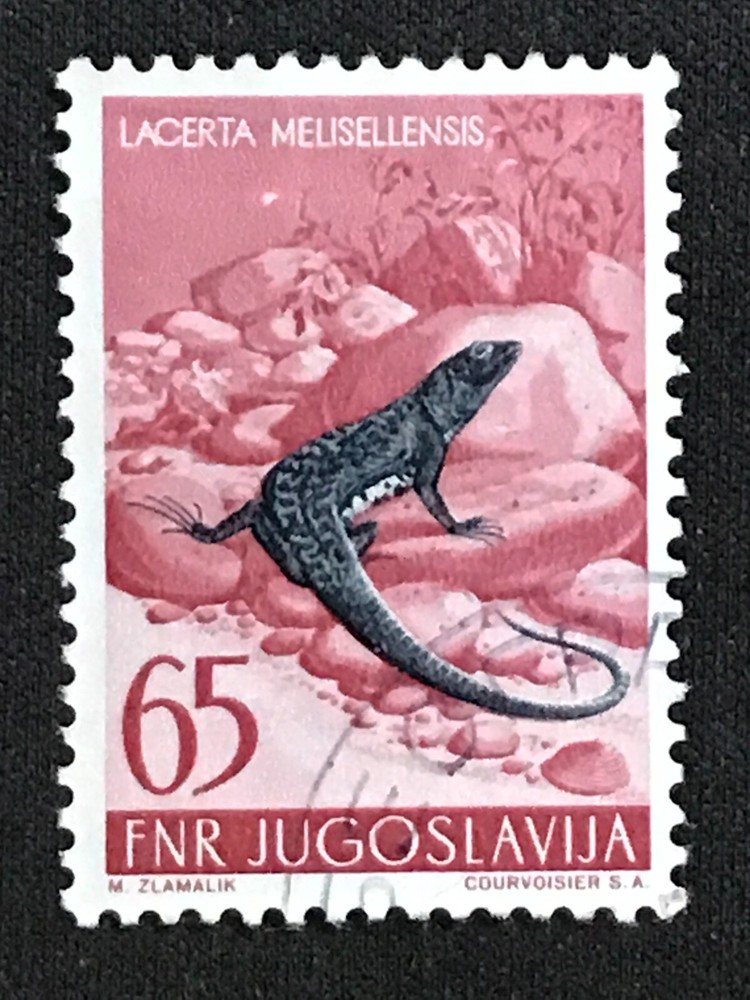 Yugoslavia SC #407 Used 1954