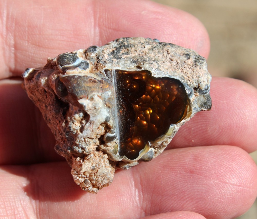 Windowed Fire Agate Rough For Lapidary Cutting BRIGHT COLORS
