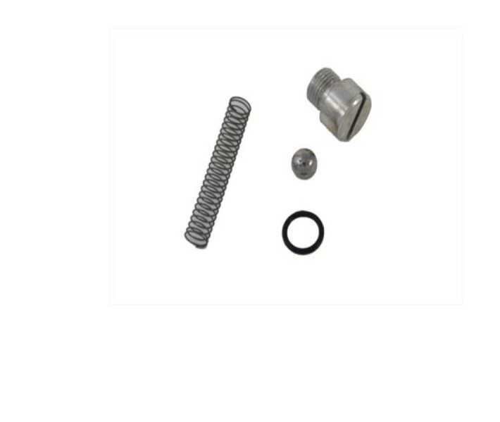 Oil Pump Check Valve Kit   8873 & 26262-80