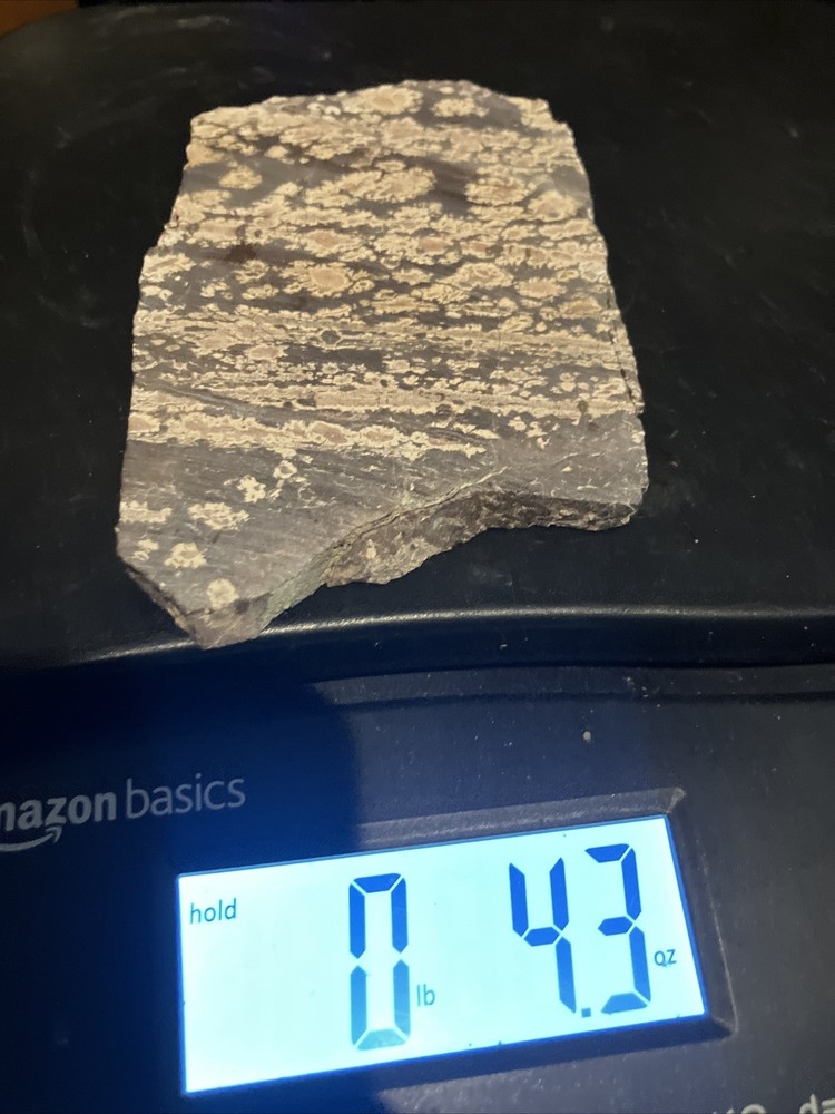 Bird’s Eye Rhyolite Slab