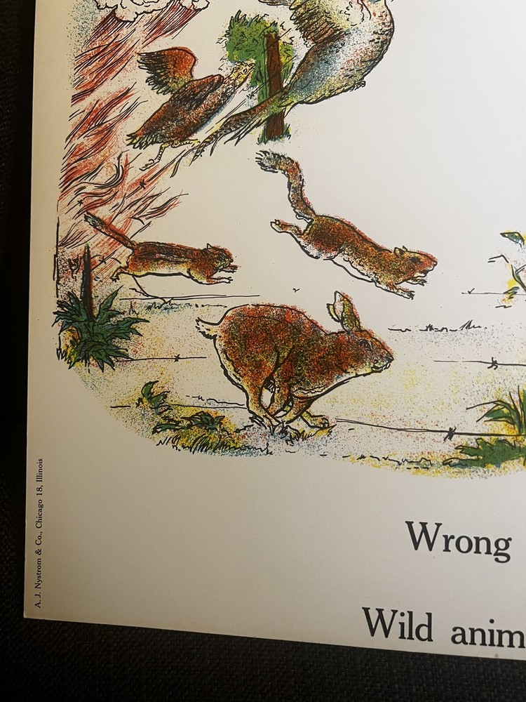 VINTAGE A.J. Nystrom Elementary science chart Conservation chart - 24” x 18.5”