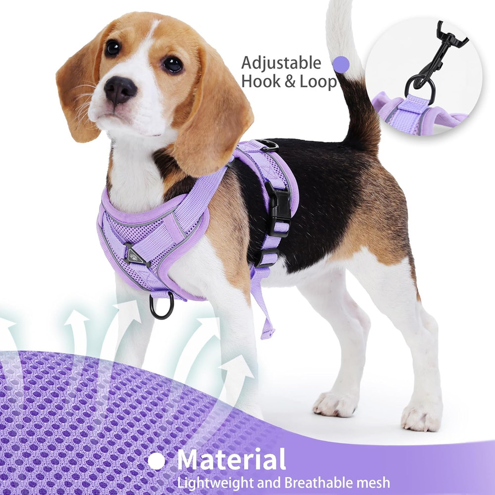 No Pull Dog Harness with Leash Set for Small Sized Dog, Reflective Adjustable No