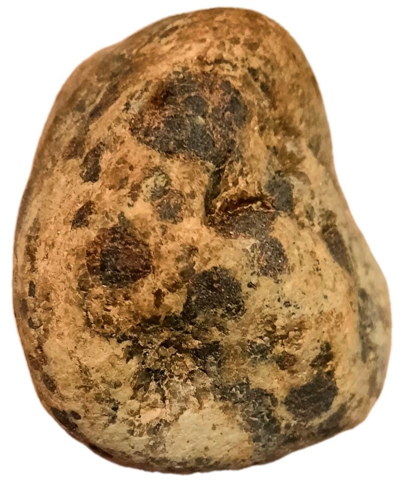 Garnet In Metamorphic Matrix Host Rock