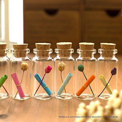 Decorative Glass Bottles (24 Pcs / 0.33 fl oz.)