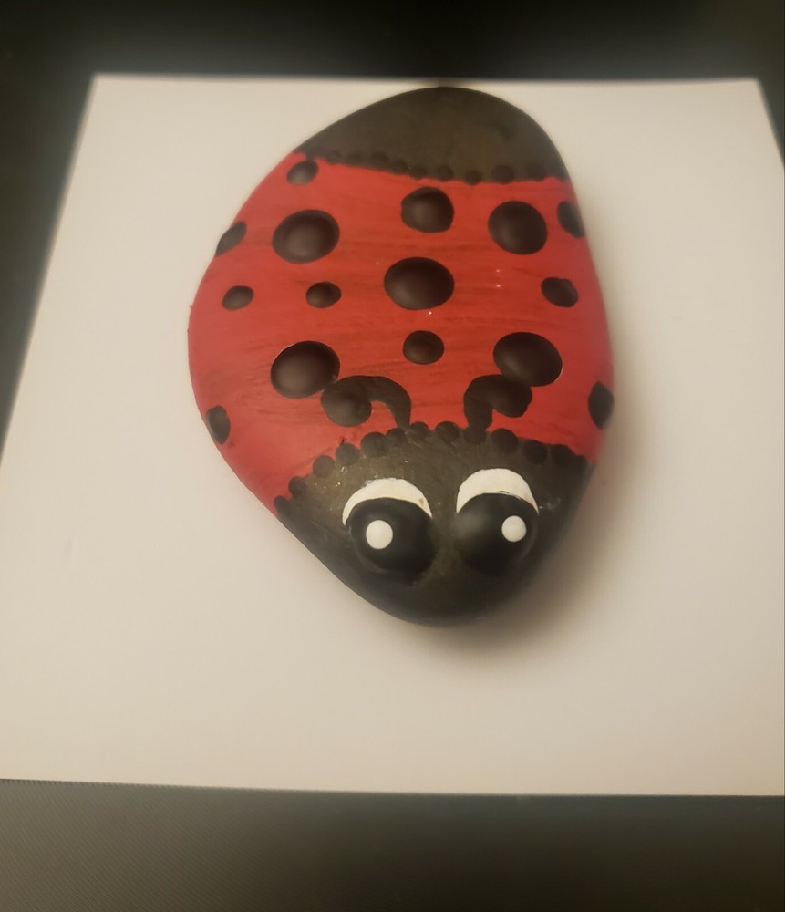 Ladybug painted mandala rock art