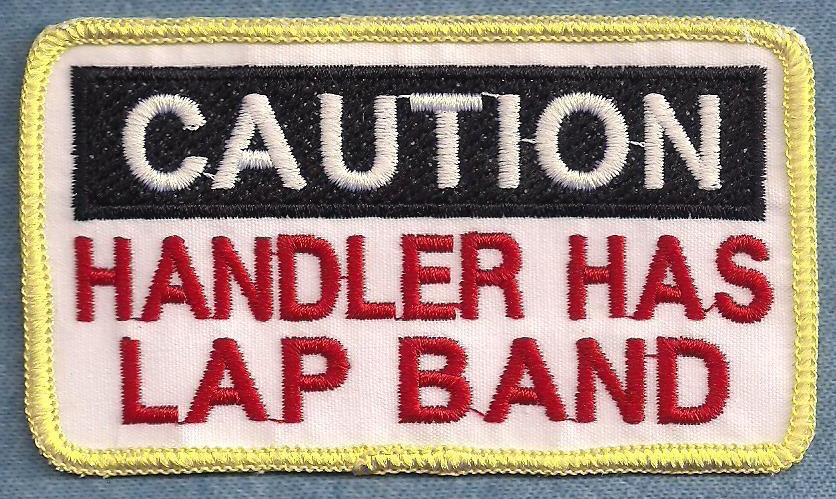 CAUTION HANDLER HAS LAP BAND - service dog vest patch