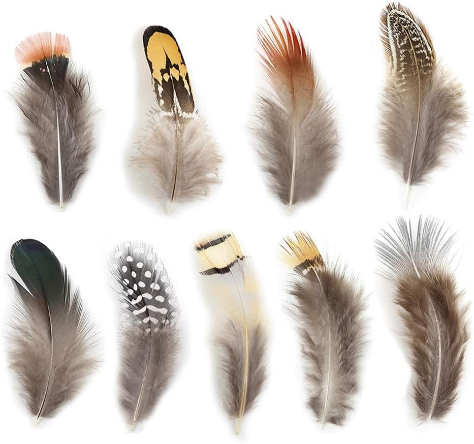 180pcs 9 Styled Natural Feathers Assorted Mixed for 9Styles/180Pcs