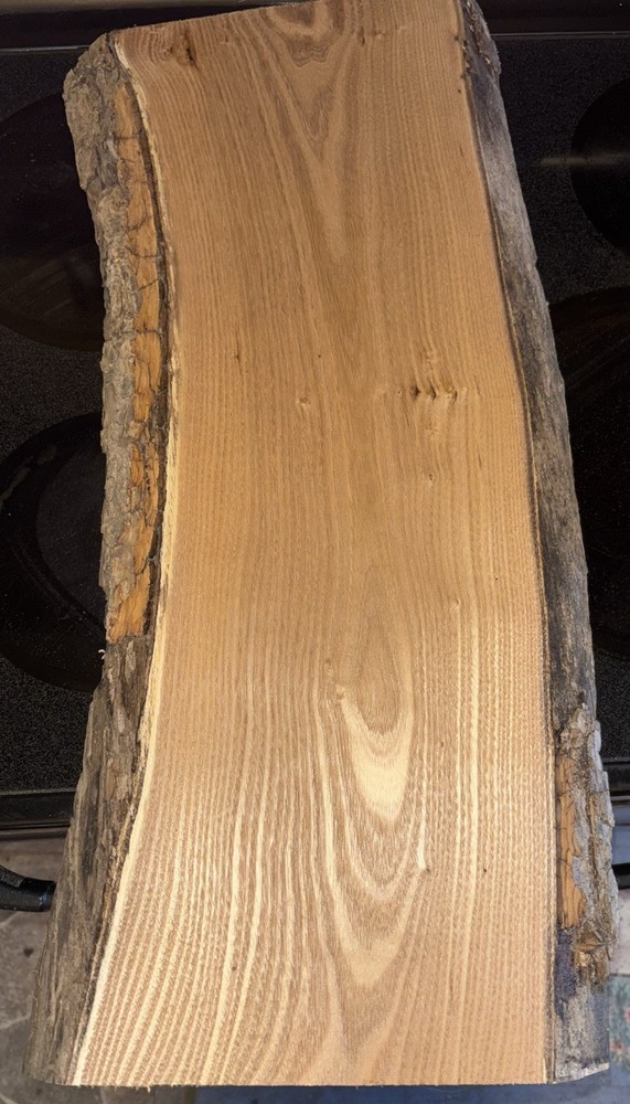 Catalpa Live Edge Slab #2106