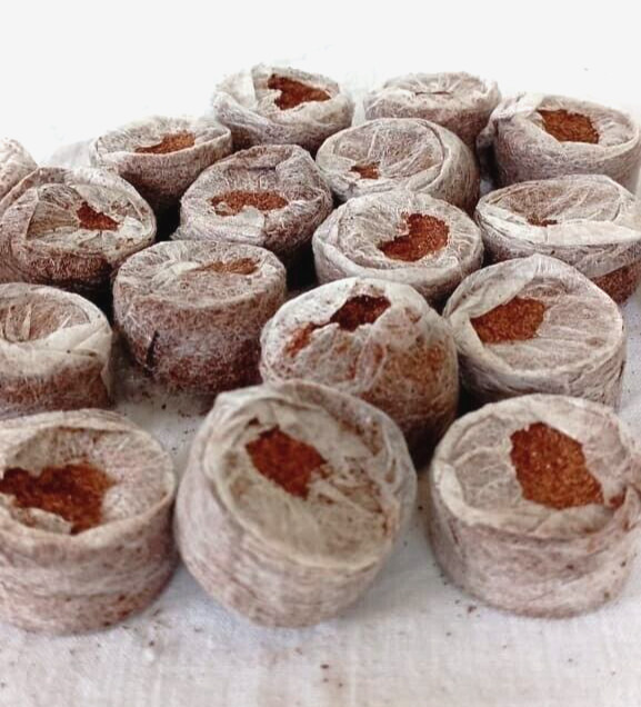 Coco Pellets  Coco Peat Coco Plug Set Growing Medium (50mm) Coco Disc 50 Pcs