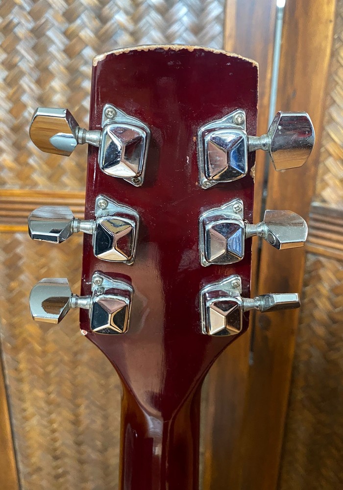 VINTAGE PALMER Acoustic