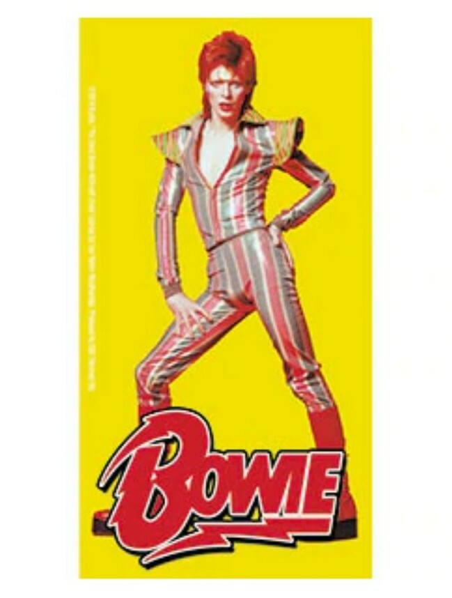 David Bowie Pose 3"x5.75" Sticker Decal Officially Licensed