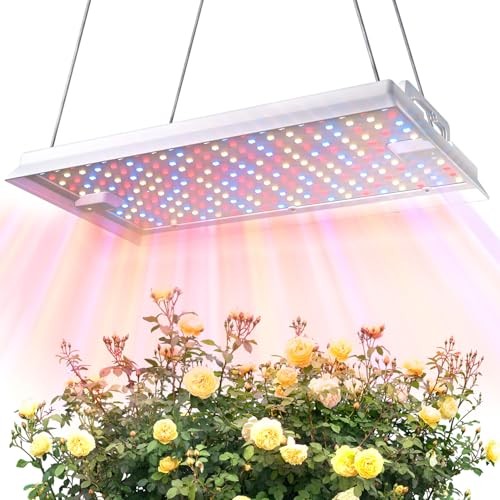 Plant Grow Light, [Smart APP & Expansive 2x3 Ft Coverage] 100W(No Stand)