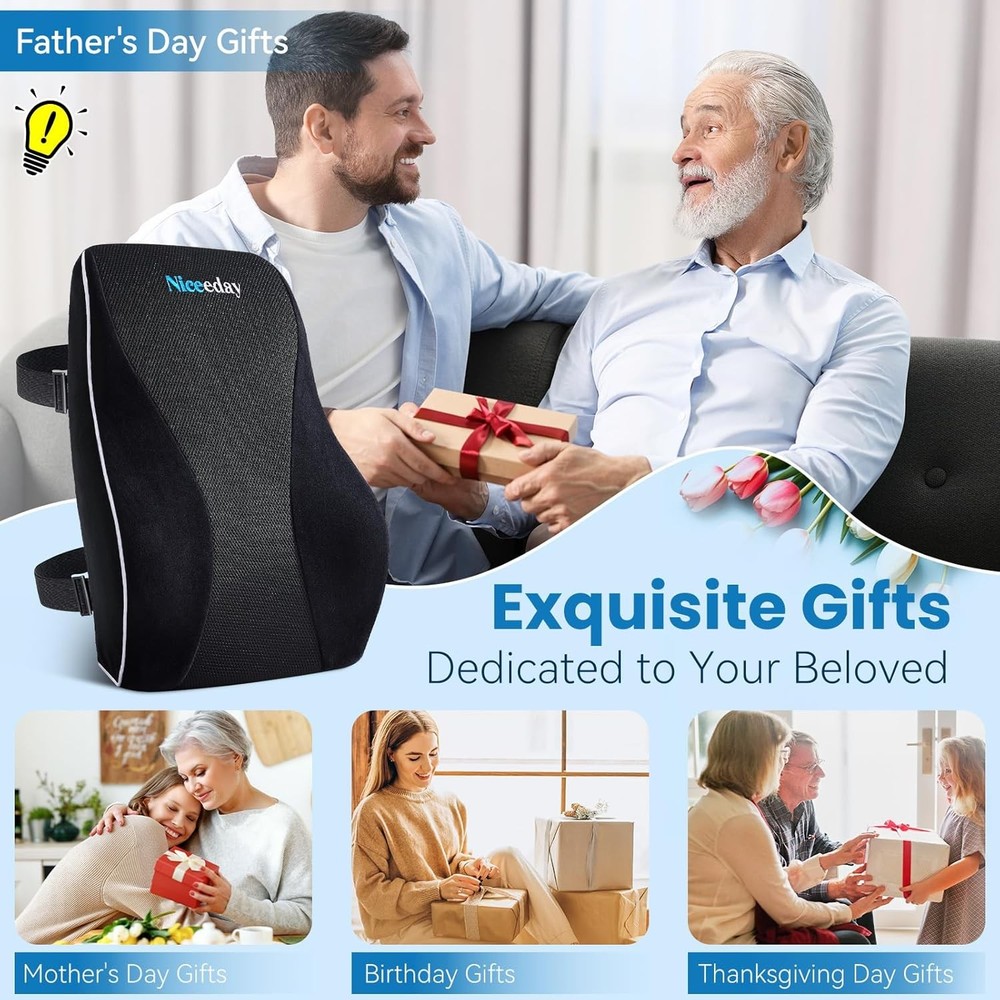 Niceeday Lumbar Support Pillow for Office Chair Car Back Support Pillow, Memory