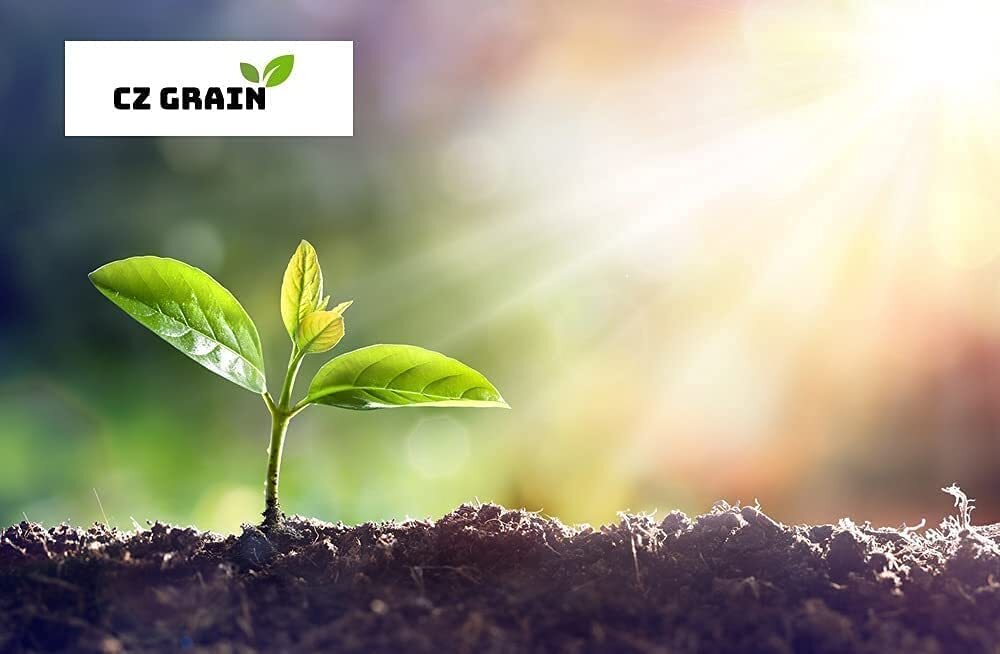 Wood Ash Fertilizer - Ph Balancer