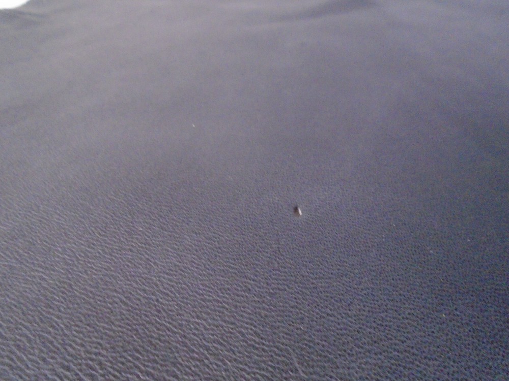 Top Grain Goat Leather #0018233 Row 155