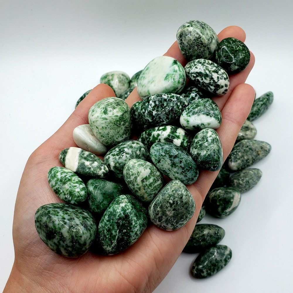 Tree agate - Tumbled & Polished Natural Healing Crystal Gemstones - 2pc