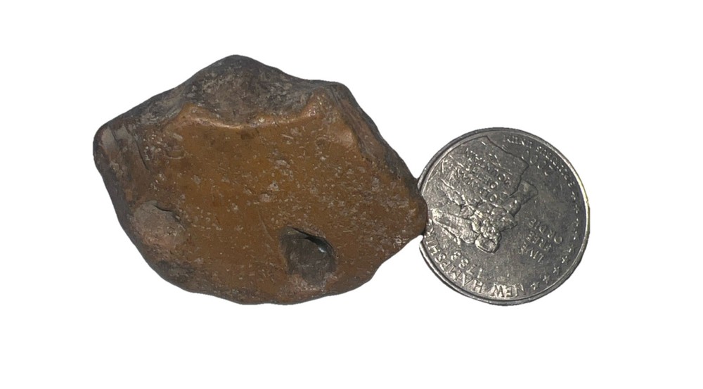 Natural hag stone .65 oz. Small