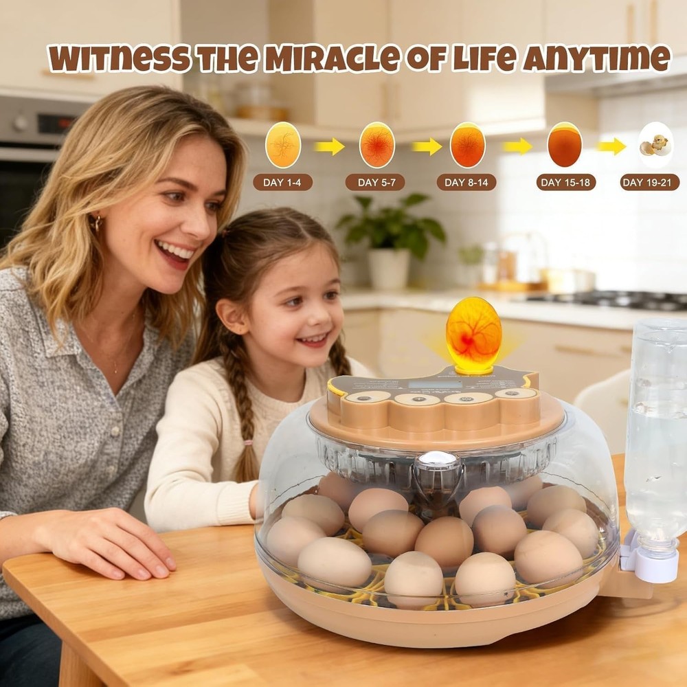 Smart 18-Egg Incubator for Hobbyists — Adjustable Auto Egg Turn with Auto Stop b