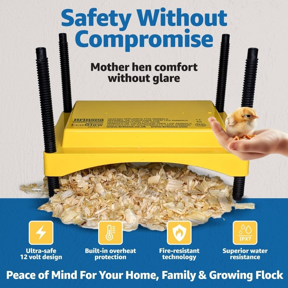 Indoor Poultry Heating Plate, 12 Watt, Adjustable for Comfortable Brooding