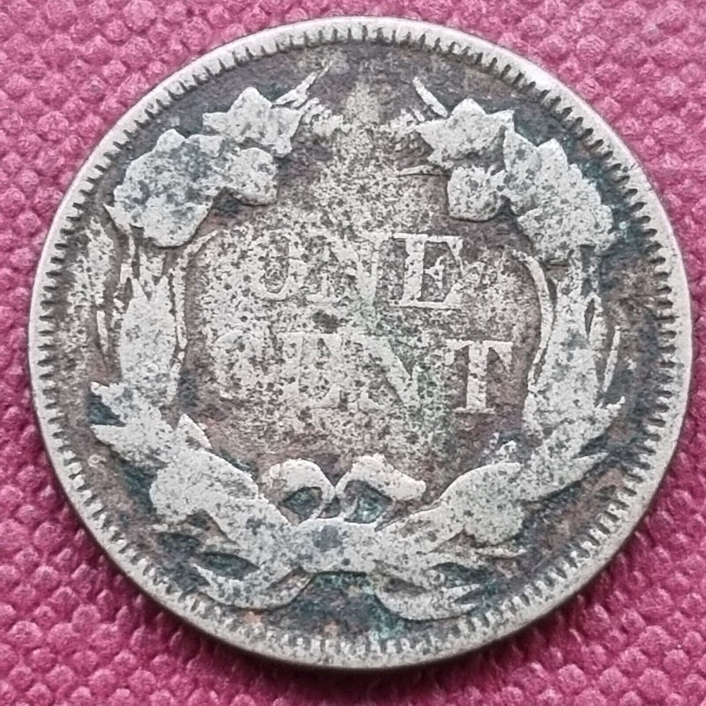 1858 Flying Eagle Cent 1c Better Grade Environmental Damage #55295