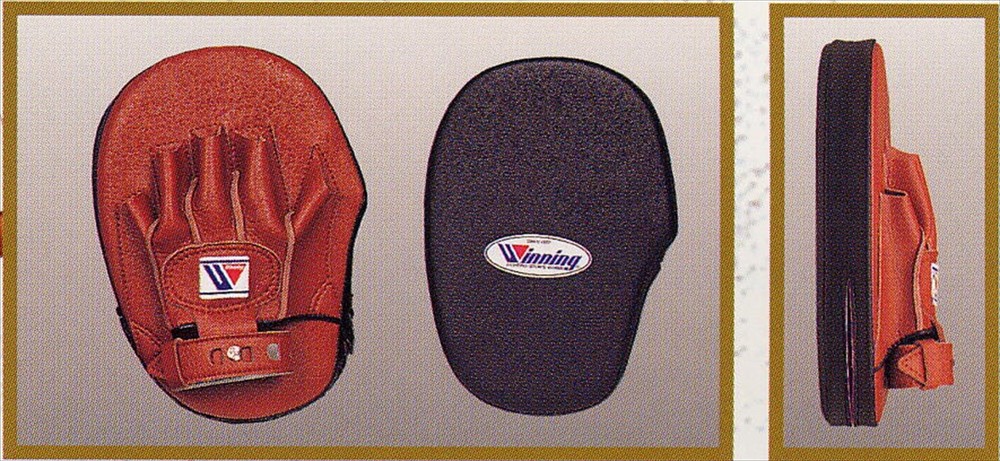 Winning CM-20 Standard Type Punching Mitt left and right  from JAPAN
