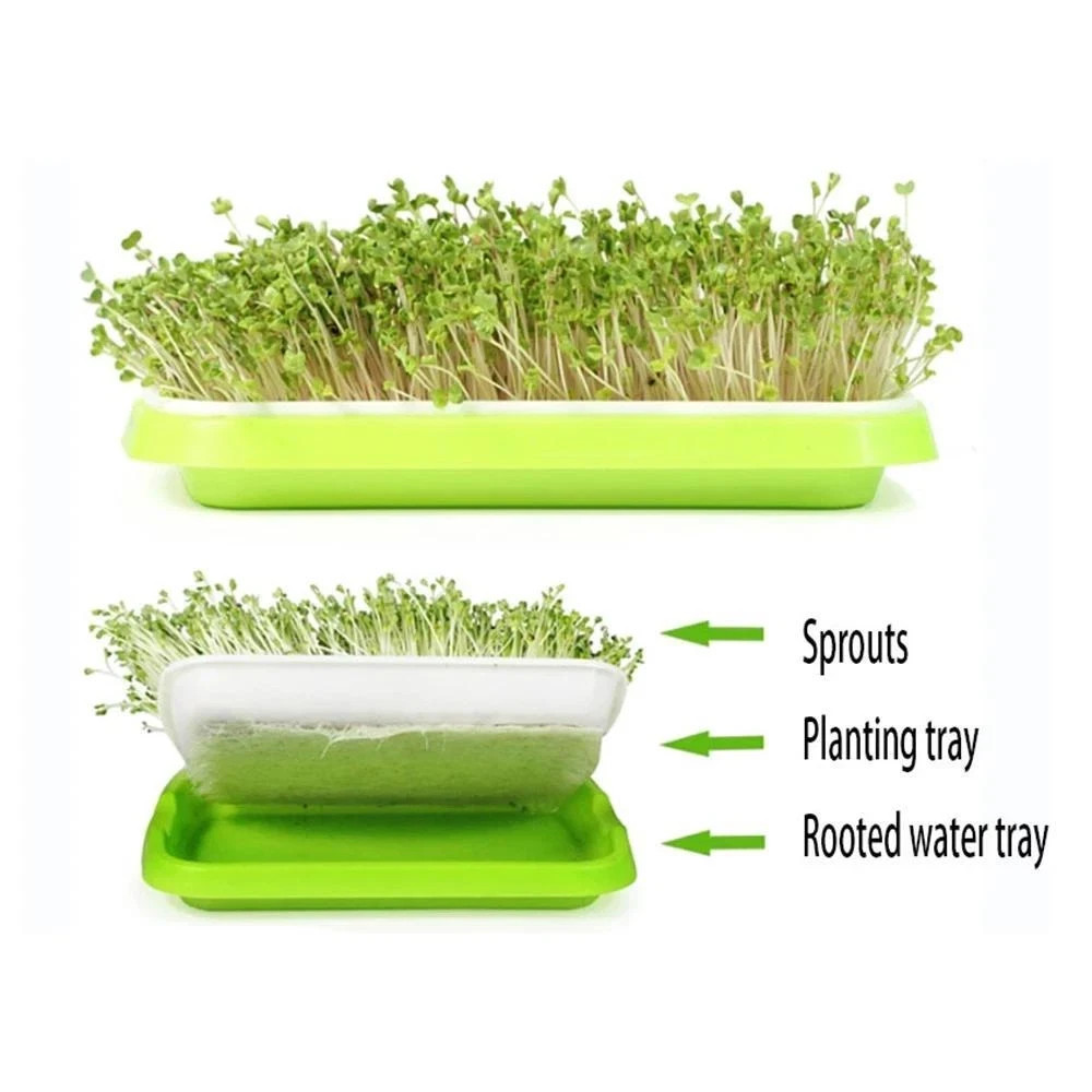 Hydroponic Microgreens Sprouter Tray – Ideal for Sprouting & Nursery Use