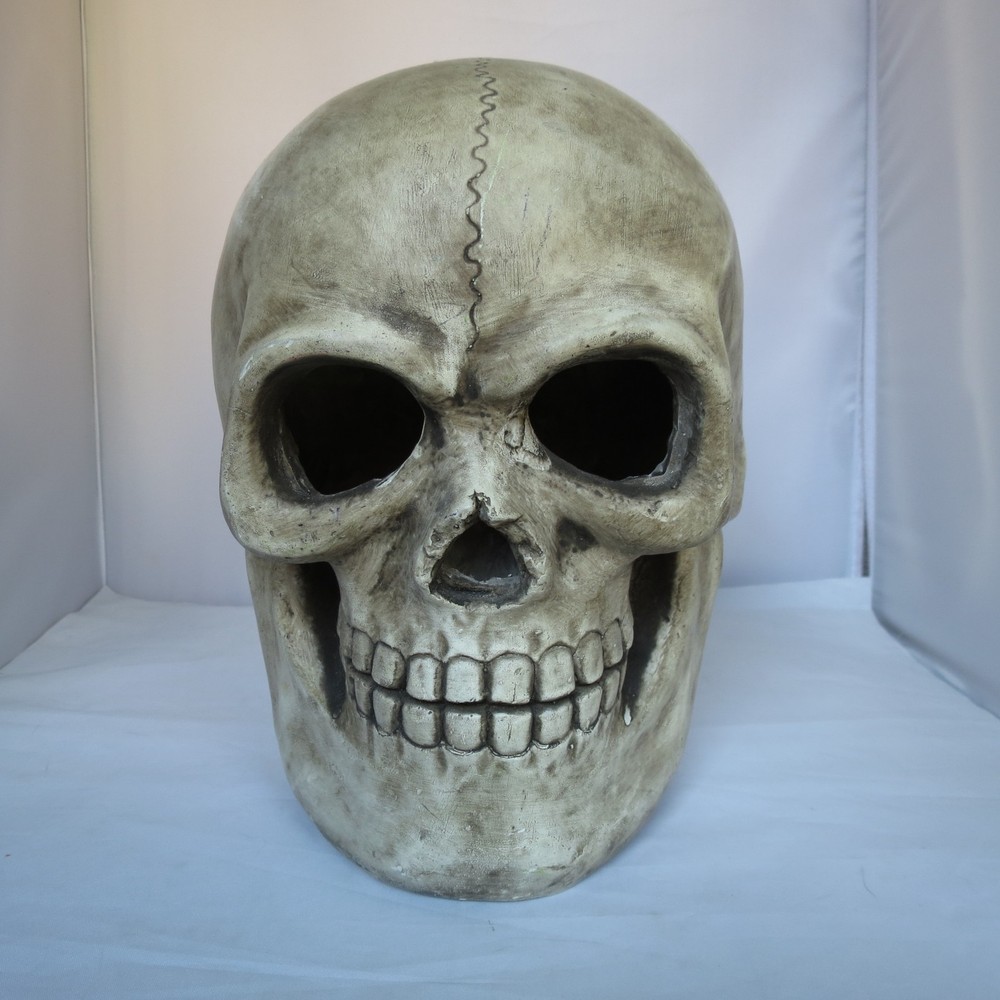 Large Heavy Cement Like Plaster Skull Skeleton Head Halloween