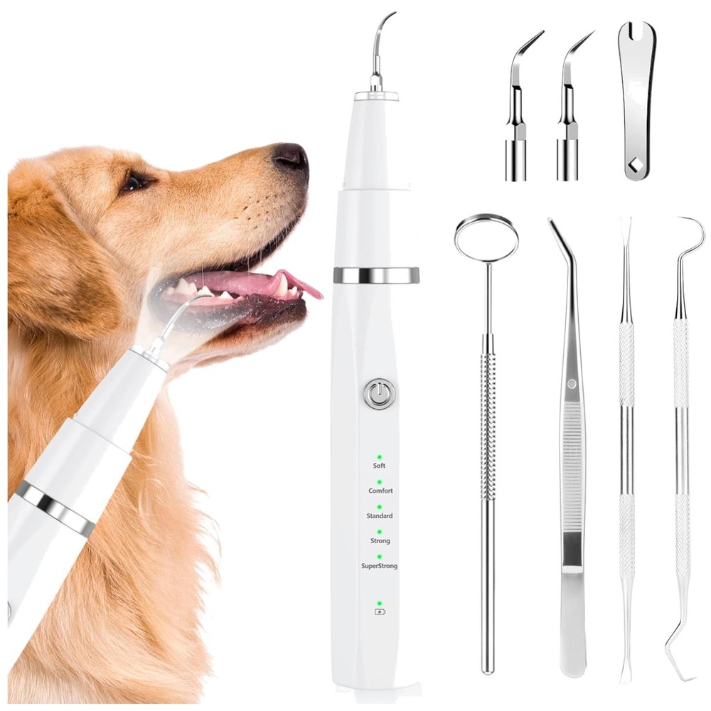 USB Rechargeable Pet Tooth Cleaner