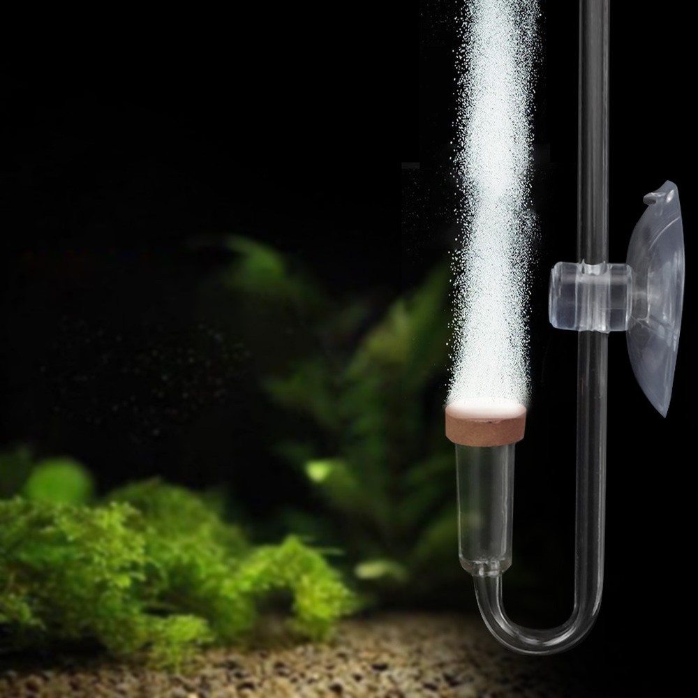 Acrylic Transparent CO2 Diffuser Atomizer Bubble Counter For Aquarium Plants